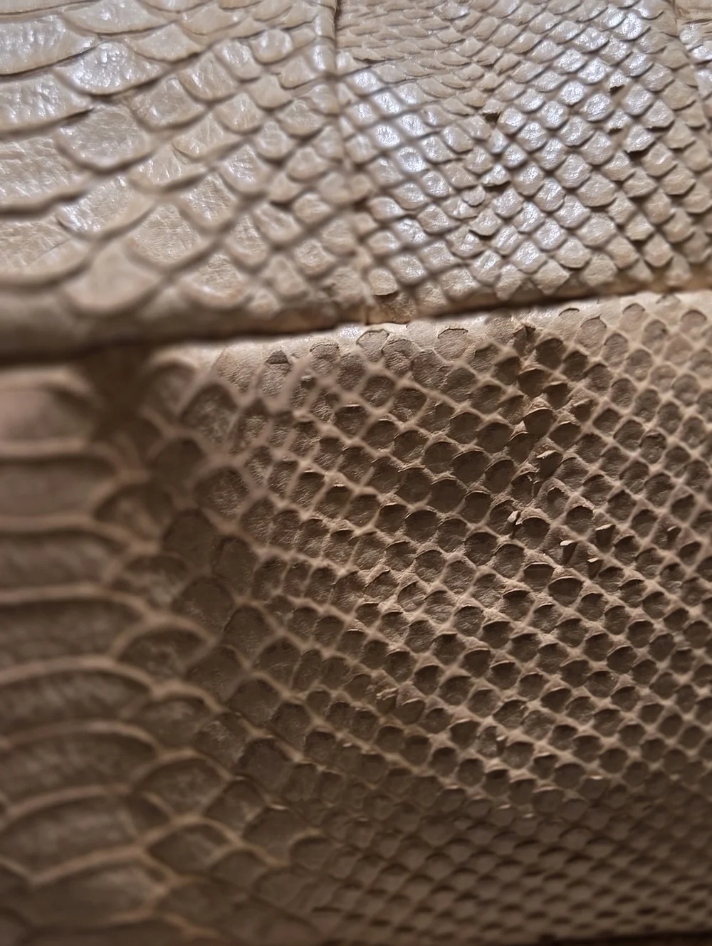 Coach Luxe Python Snakeskin Embossed Leather Maggie Madison Hobo Bag NEW • Rare - Picture 9 of 16